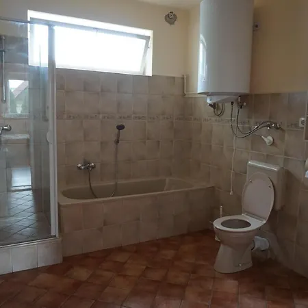 Lejlighed Grosses Ferienhaus Plattensee Balaton - Nyaralo Haz 6 Szobaval, 5 Fuerdoszobaval, 3000 Nm