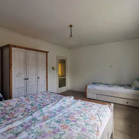 Grosses Ferienhaus Plattensee Balaton - Nyaralo Haz 6 Szobaval, 5 Fuerdoszobaval, 3000 Nm Apartment Szolad