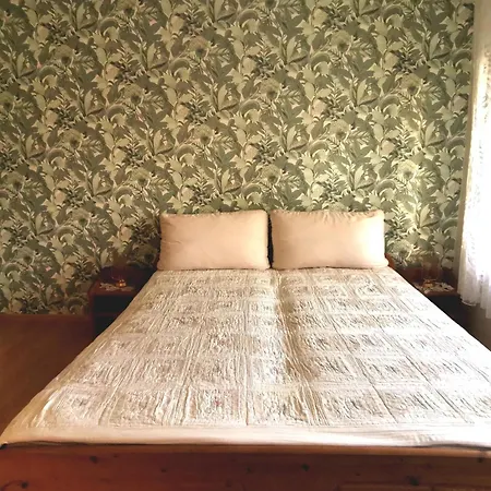 Grosses Ferienhaus Plattensee Balaton - Nyaralo Haz 6 Szobaval, 5 Fuerdoszobaval, 3000 Nm Lejlighed *