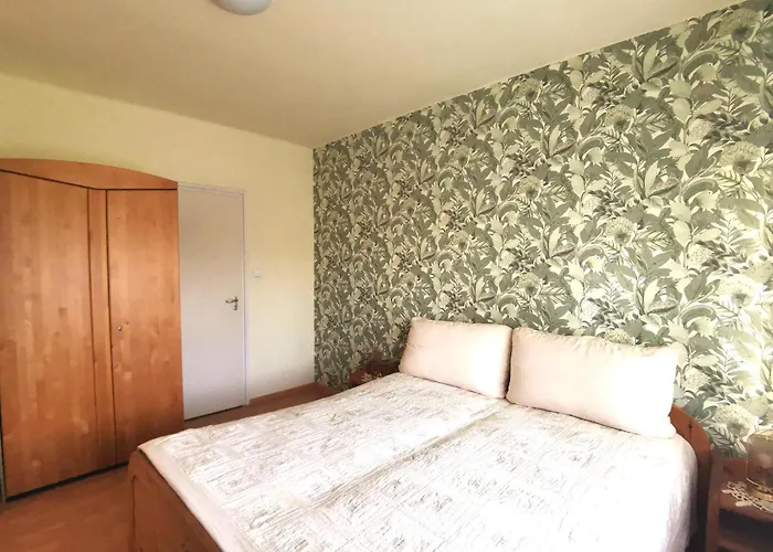 Grosses Ferienhaus Plattensee Balaton - Nyaralo Haz 6 Szobaval, 5 Fuerdoszobaval, 3000 Nm Apartment